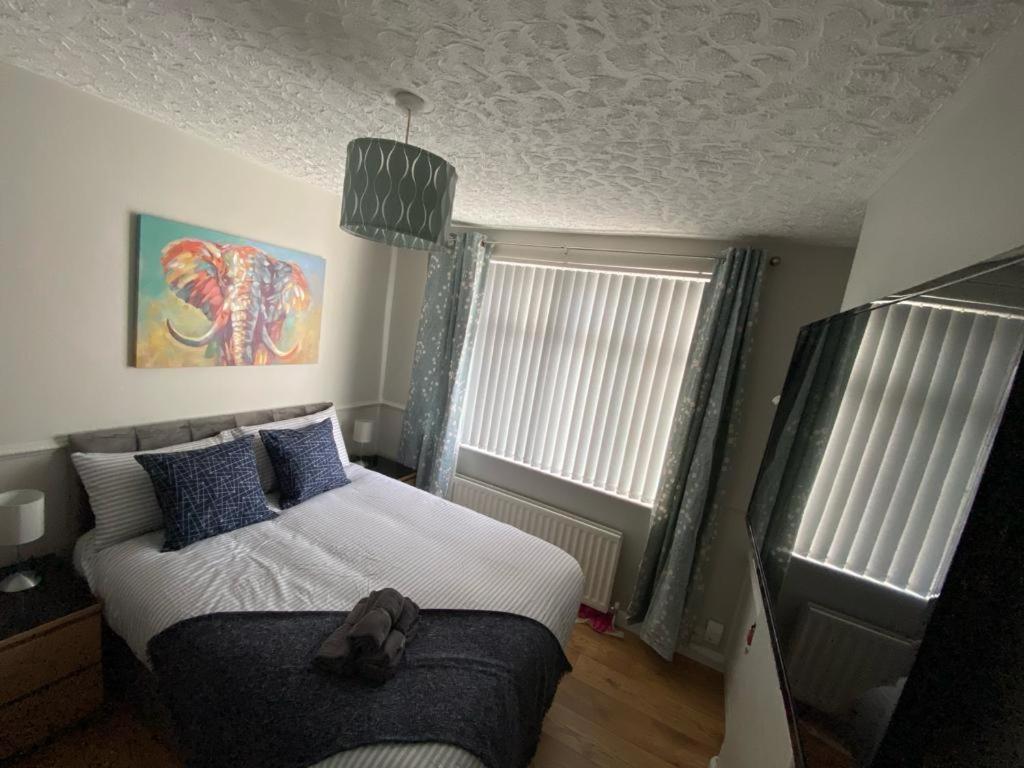 Connswater Town House Belfast Apartman Kültér fotó